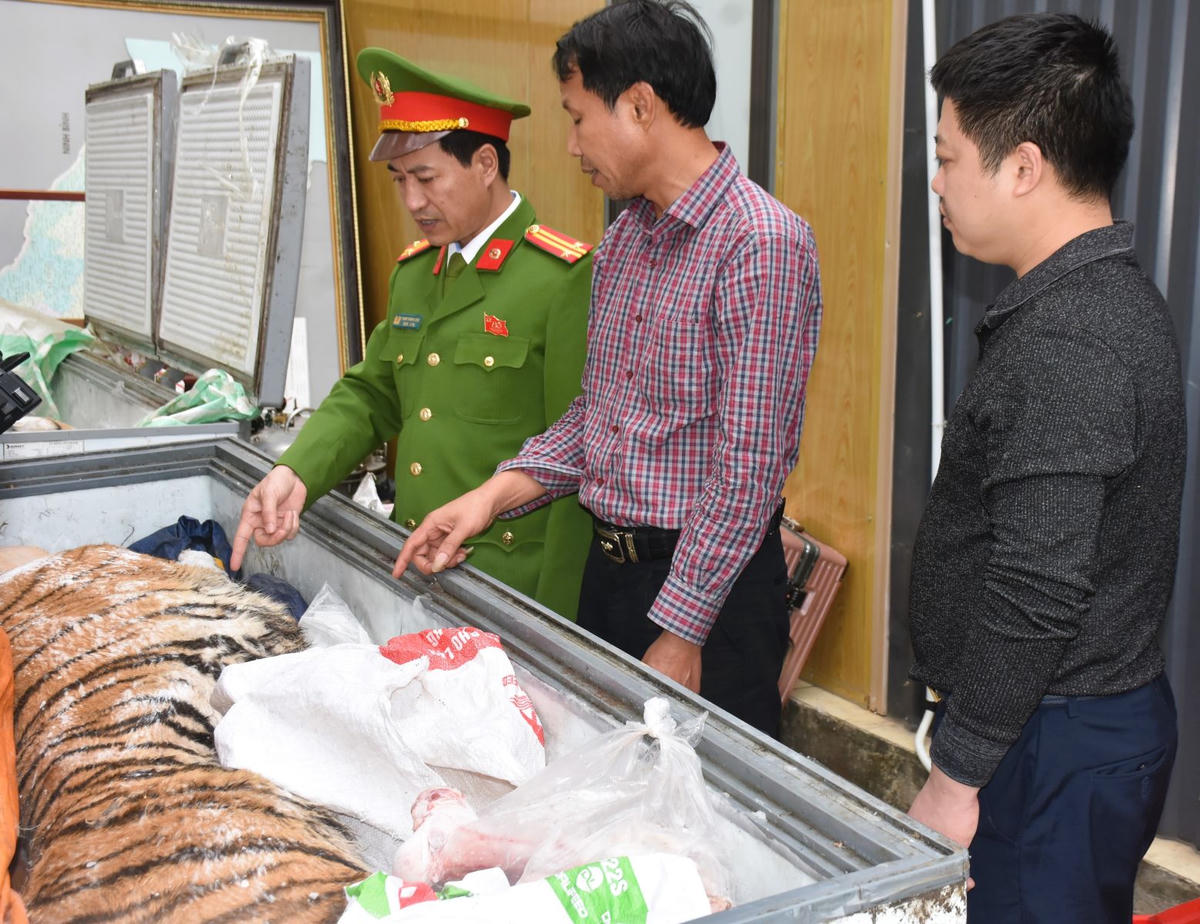 Hoàng Đình Đạt (đứng giữa) chỉ tay về cá thể hổ đã được cấp đông. Ảnh: CATH