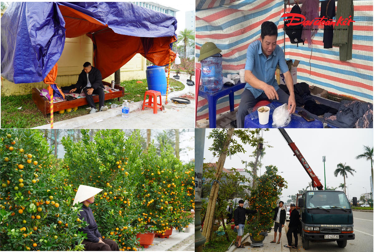 Những ngày này, ghi nhận của phóng viên tại chợ bán hoa Tết lớn nhất Hà Tĩnh (đường Xô Viết Nghệ Tĩnh, phường Thành Sen), thị trường cây cảnh biến động thất thường.