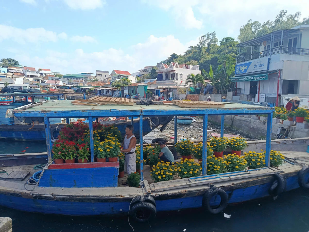 Những chuyến đò chở từng chậu hoa ra đảo, phục vụ người dân đón Tết. Ảnh X.H. 
