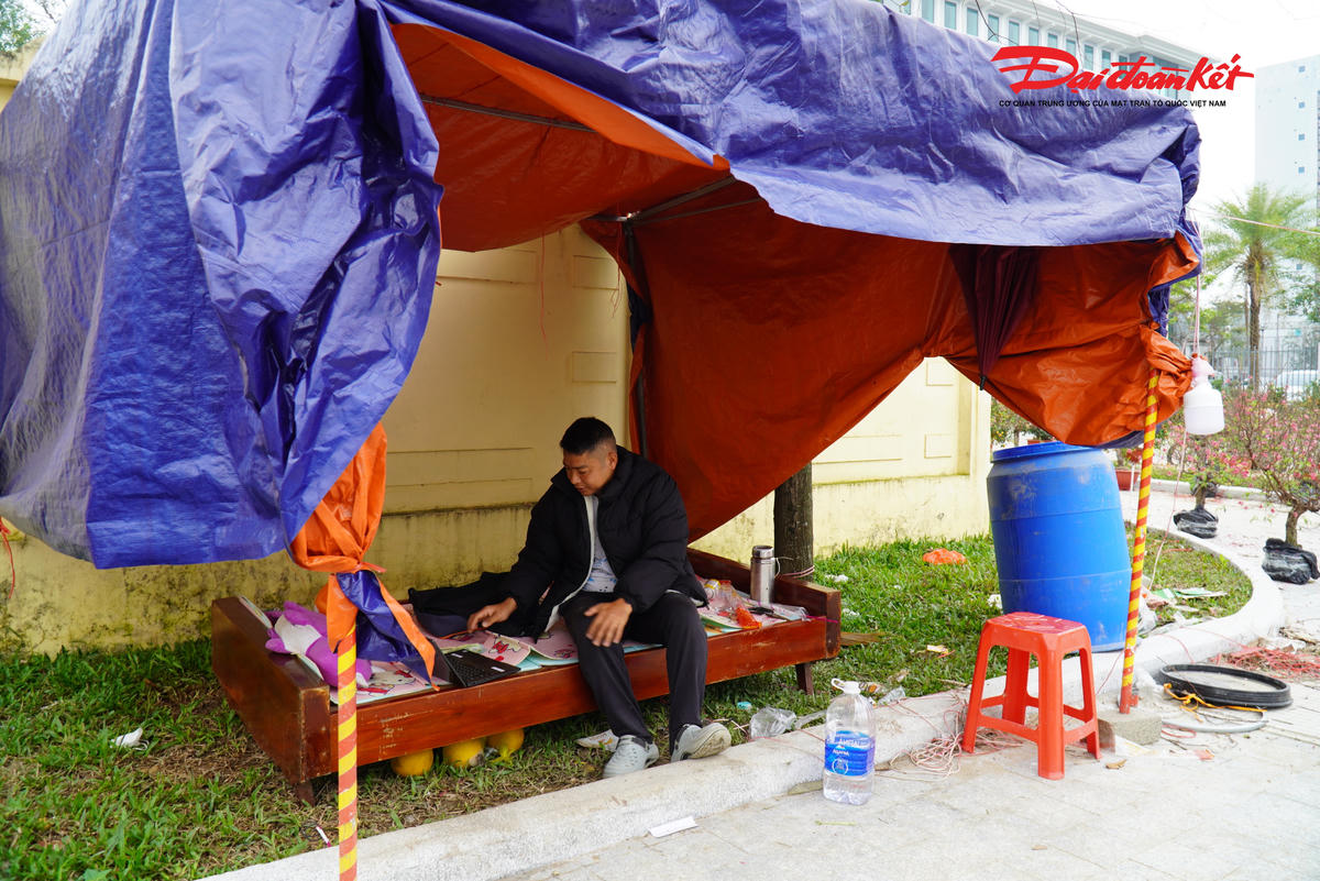 Từ 18 tháng Chạp, anh Trần Hậu Tuấn (SN 1987, phường Thành Sen) đã có mặt tại đây, dựng bạt, bày đào, mai. Hơn 200 gốc đào Nhật Tân, đào phai, đào kép, quất… được xếp ngay ngắn trên bãi đất thuê. 