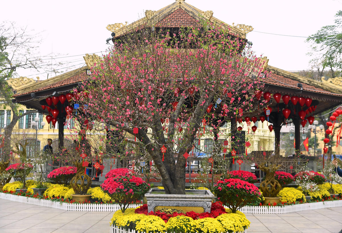 Khu vực Nhà Bát Giác trở thành tâm điểm của không gian trưng bày. Ảnh: Phạm Sỹ.