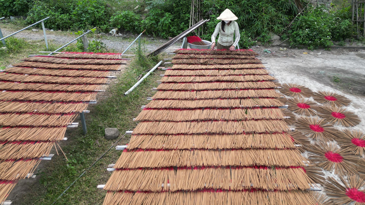 Bà Võ Thị Hoàng đang phơi hương ở khắp vườn nhà. Ảnh: Nguyễn Tín.