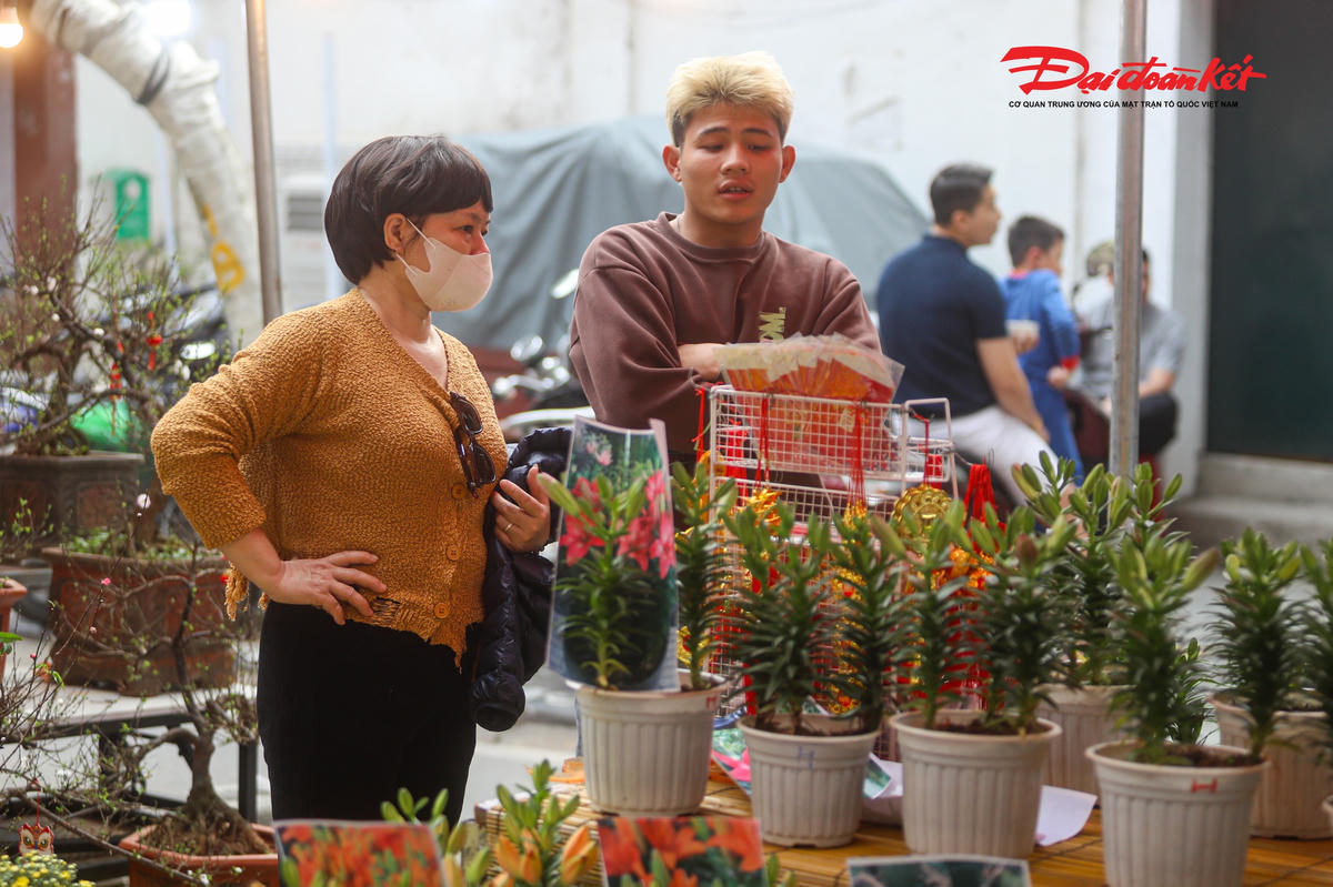 Các loại cây cảnh truyền thống vẫn giữ vai trò “nhân vật chính” của phiên chợ.