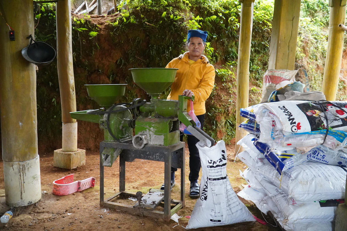 2 vụ lúa, bà Hoan thu được gần 400kg thóc. Ảnh: Đình Minh.