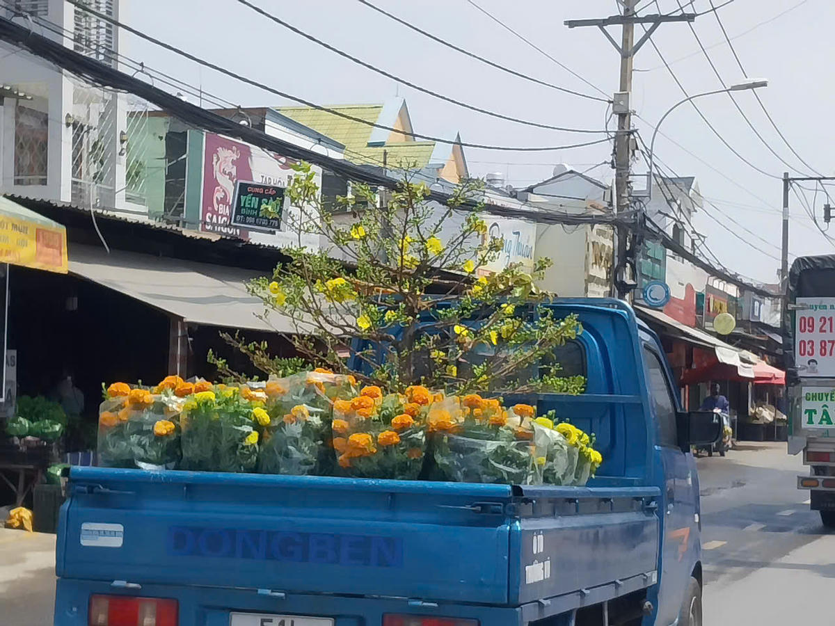 Hoa mai và hoa cúc là những loại hoa chủ đạo được người dân chọn để trưng Tết. Ảnh: S.X