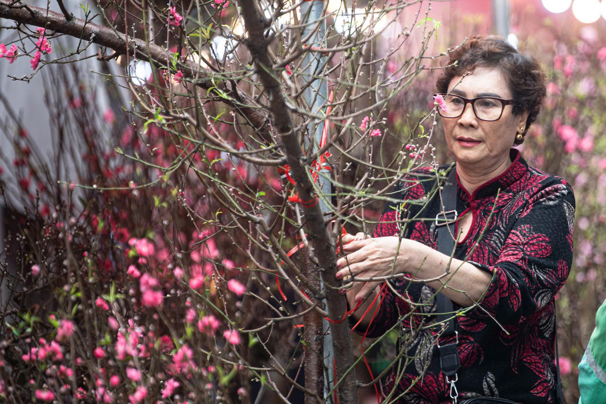 Chợ hoa Xuân phố cổ Hà Nội hay còn có tên quen thuộc là Chợ hoa Hàng Lược có từ những năm 20 của thế kỷ XX, gắn với văn hoá, phong tục, thói quen của người Kẻ Chợ và hình ảnh của Hà Nội 36 phố phường. Ảnh: HL