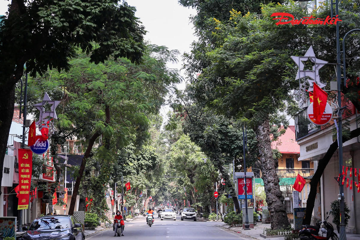 🔴 Trực tiếp: Không khí Xuân Bính Ngọ trên khắp mọi miền Tổ quốc