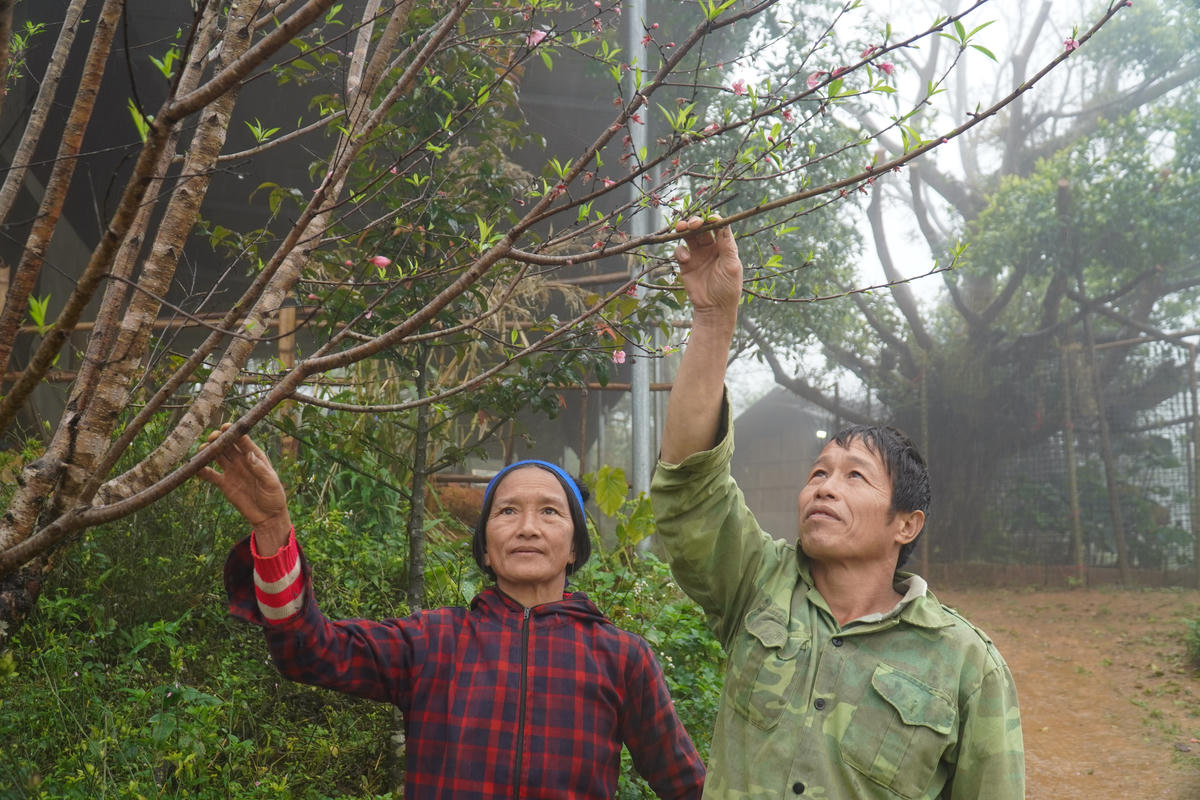 2 vợ chồng bà Én kỳ vọng vào một năm mới tốt đẹp hơn. Ảnh: Đình Minh.