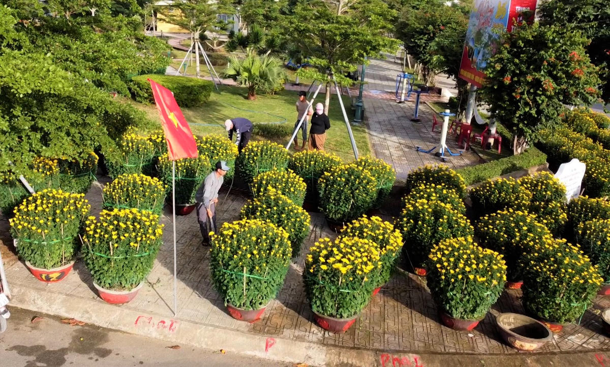 Người dân đặc khu Lý Sơn đi mua chưng Tết. Ảnh: Chí Đại.