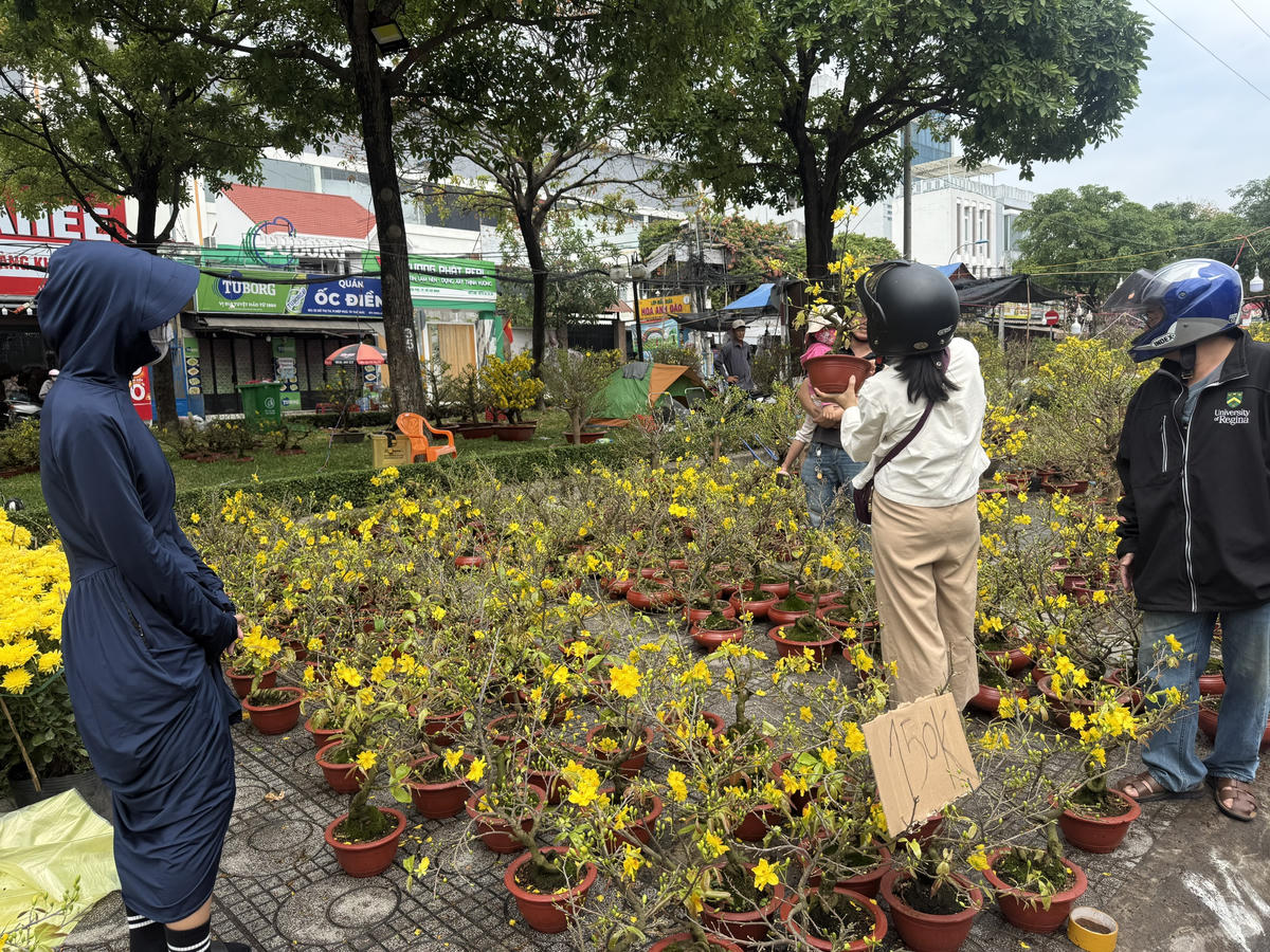 Nhiều gian hàng bán mai đã nở vàng rực. Ảnh: H.T