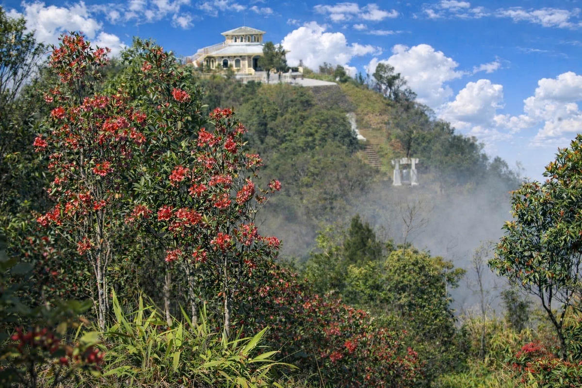 Vườn quốc gia Bạch Mã (thành phố Huế) nằm ở phần cuối của dãy Trường Sơn Bắc, sở hữu địa hình đa dạng với núi trung bình, núi thấp và vùng chuyển tiếp từ chân núi lên đai cao hơn 1.712m. Thuộc vùng khí hậu nhiệt đới gió mùa, nơi đây là khu rừng giàu đa dạng sinh học, giữ vai trò quan trọng trong phát triển kinh tế xã hội và duy trì cân bằng sinh thái, môi trường. Ảnh: VQG Bạch Mã.