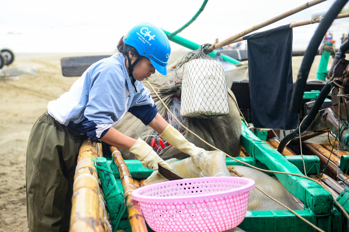 Những khoang thuyền đầy ắp 'ộc biển' trong buổi sớm đầu xuân vì thế không chỉ mang lại nguồn thu đáng kể mà còn thắp lên hy vọng về một mùa đánh bắt bội thu phía trước. Ảnh: Đình Minh