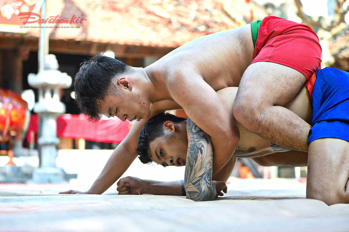 Những giọt mồ hôi lấm tấm, các đô vật quyết không nhường từng tấc sới. Ảnh: Phạm Sỹ.