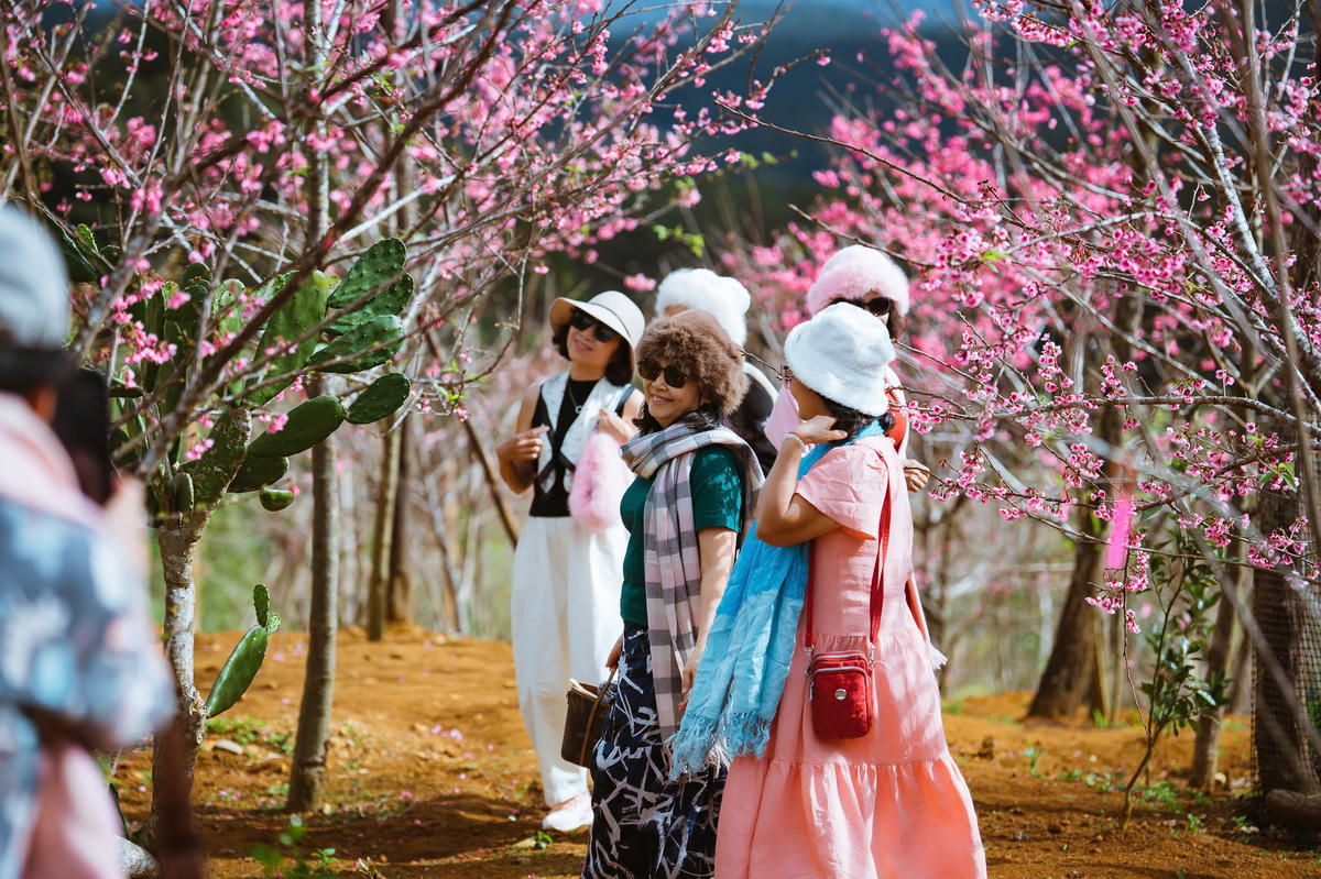 Khách du lịch tham quan ở Măng Đen, tỉnh Quảng Ngãi. Ảnh: CV.