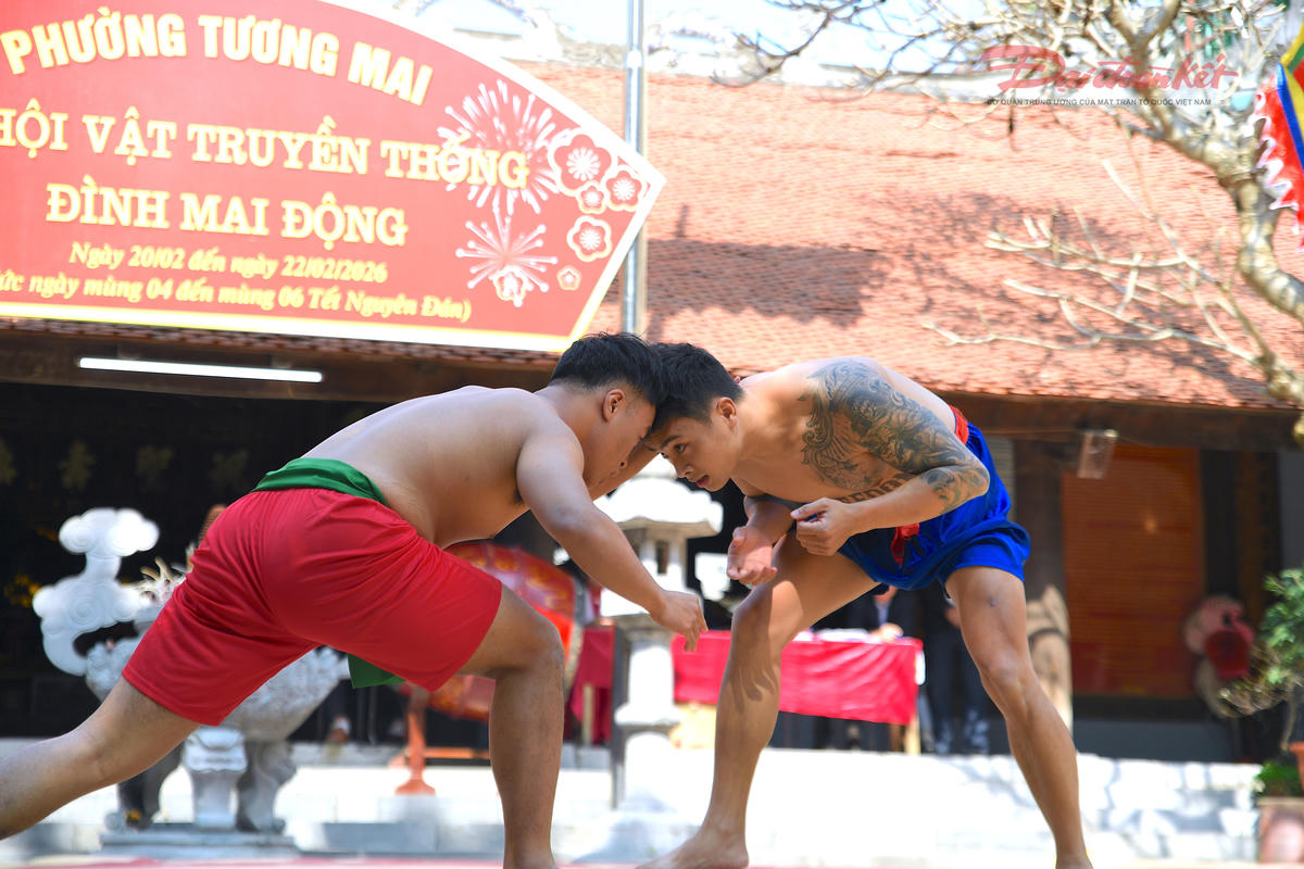 Ánh mắt tập trung cao độ của các đô vật. Ảnh: Phạm Sỹ.