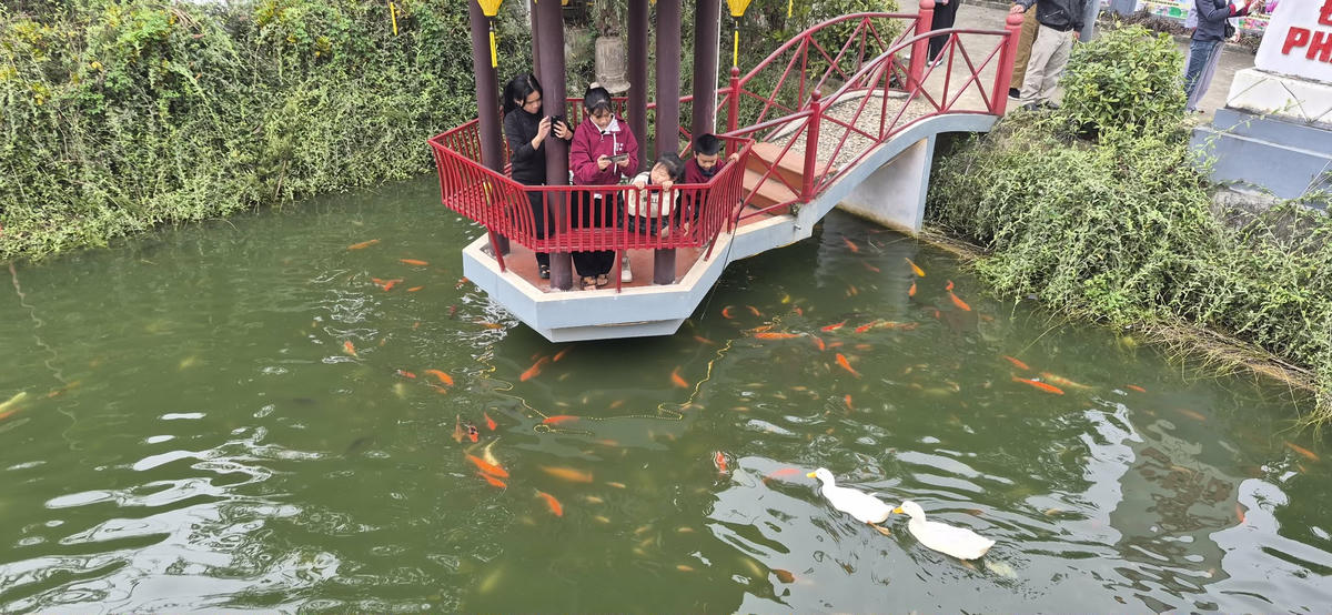 Không gian hiền hòa nơi Chùa Hang. Ảnh: Xuân Trường.