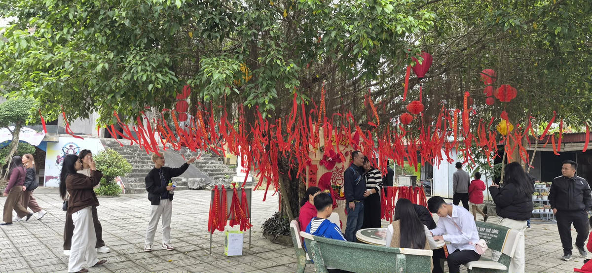 Cây "Hạnh phúc" nơi mọi người gửi cầu ước nguyện.&nbsp;Ảnh: Xuân Trường.