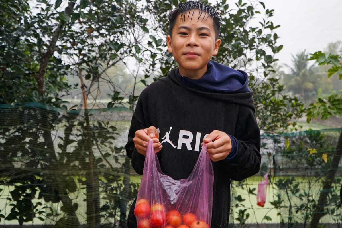 Để tưởng nhớ, người dân duy trì phiên chợ mùng 6 Tết như một hình thức đánh trận giả. Qua thời gian, yếu tố lịch sử hòa cùng tín ngưỡng cầu may đầu năm, hình thành tập tục ném cà chua. Ảnh: Đình Minh