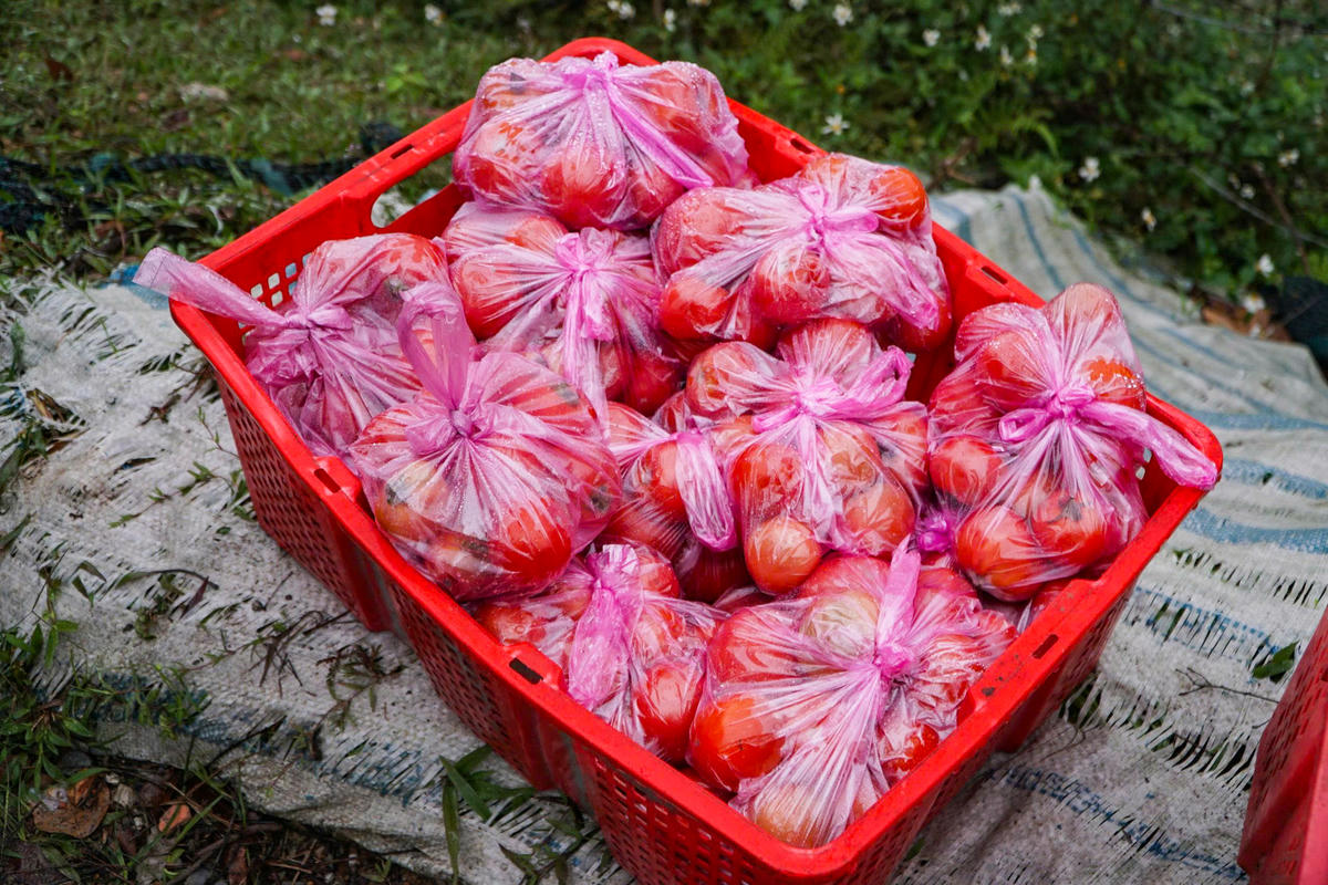 Theo UBND phường Đông Sơn, lễ hội chợ Chuộng gắn với cuộc khởi nghĩa Lam Sơn của Lê Lợi. Khi nghĩa quân bị quân Minh truy đuổi đến ven sông Hoàng, người dân đã mở phiên chợ để che mắt địch. Các nghĩa sĩ cải trang thành người buôn bán, giấu vũ khí trong đống rau củ và bất ngờ phản công. Ảnh: Đình Minh