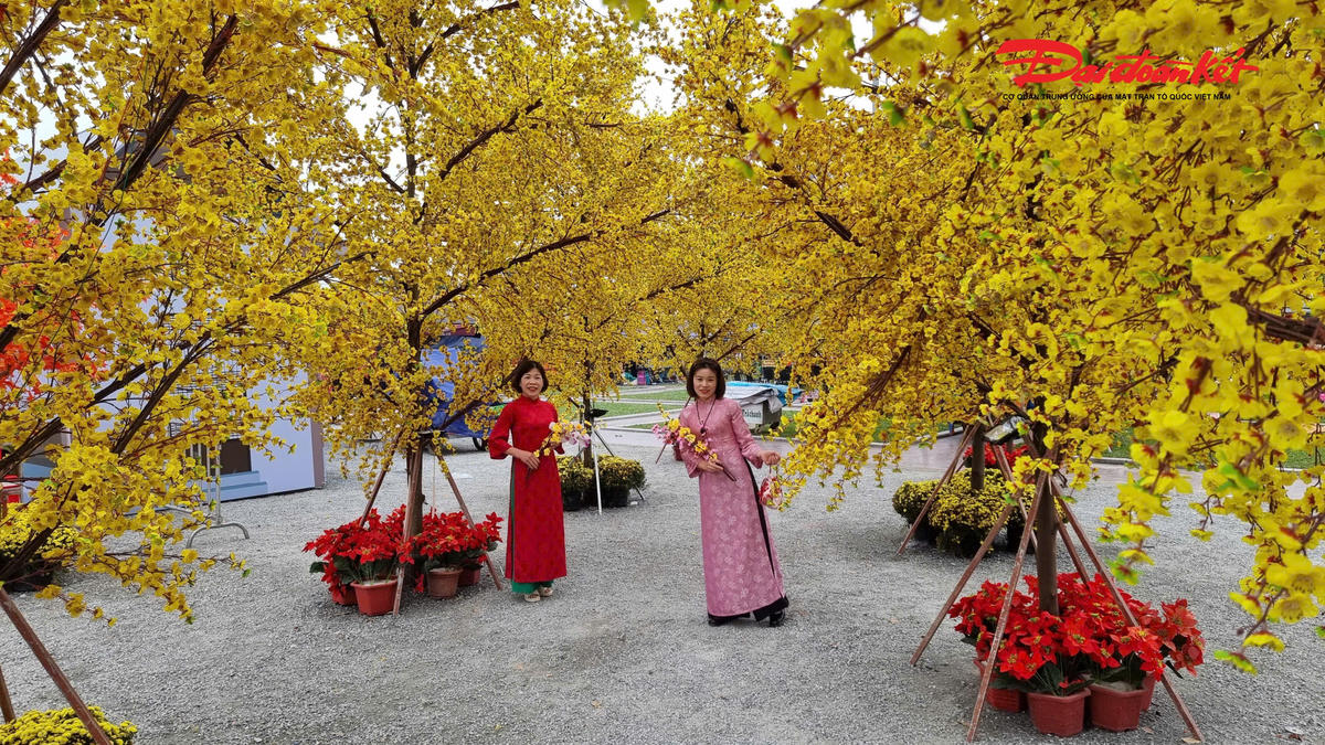 Nhưng cũng không thể thiếu mai vàng đặc trung của phương Nam. Ảnh: Anh Toán.