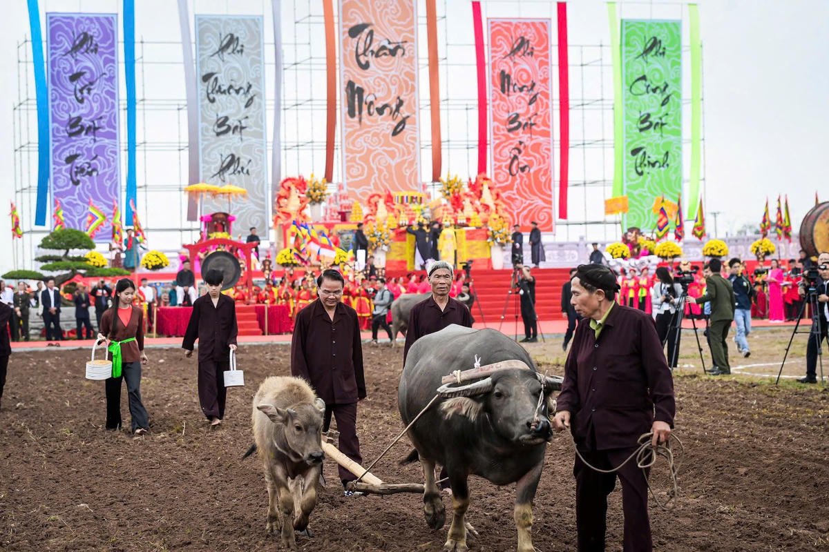 Tiếp đó, các đại biểu Trung ương và địa phương cùng nông dân thực hiện nghi thức cày ruộng đầu năm. Ảnh: X.L