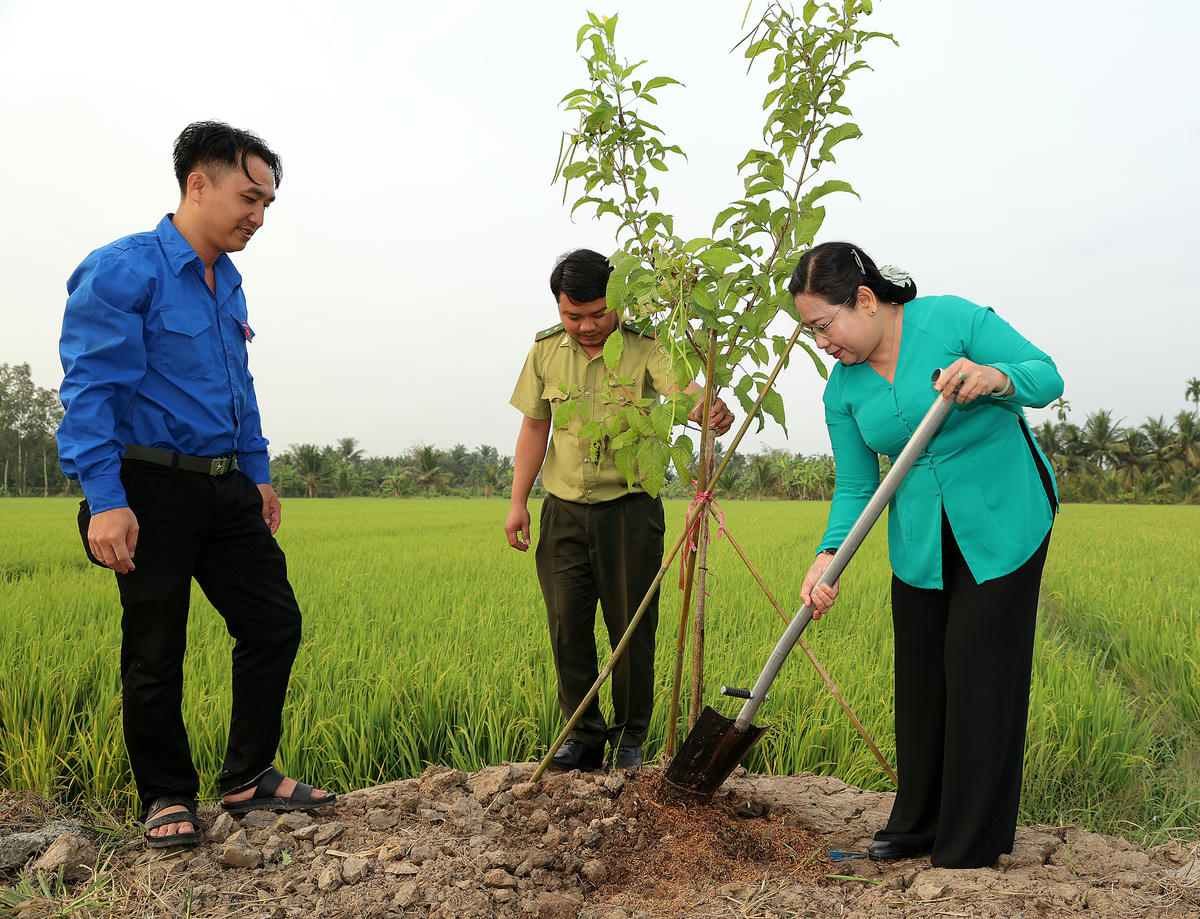 Bà Hồ Thị Cẩm Đào – Phó Bí thư Thành ủy, Chủ tịch Ủy ban MTTQ Việt Nam TP. Cần Thơ trồng cây tại lễ phát động. (ảnh: Trung Phạm)