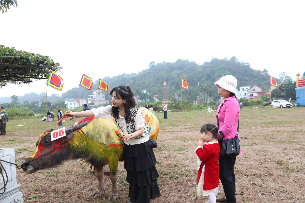 Trong lễ hội còn có phần thi trang trí trâu, thi cày, biểu diễn nghệ thuật truyền thống… Ảnh: X.L