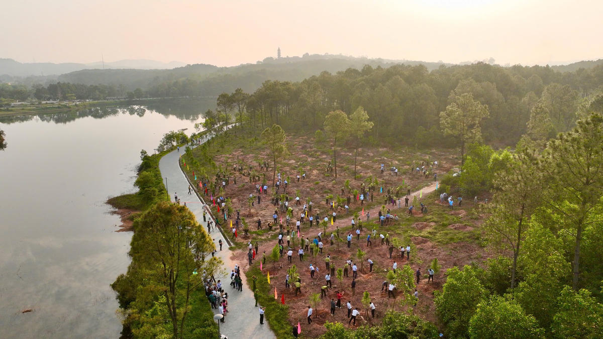 Thành phố Huế phát động "Tết trồng cây đời đời nhớ ơn Bác Hồ" xuân Bính Ngọ 2026 tại Công viên Hồ Thủy Tiên. Ảnh: Đ.H.
