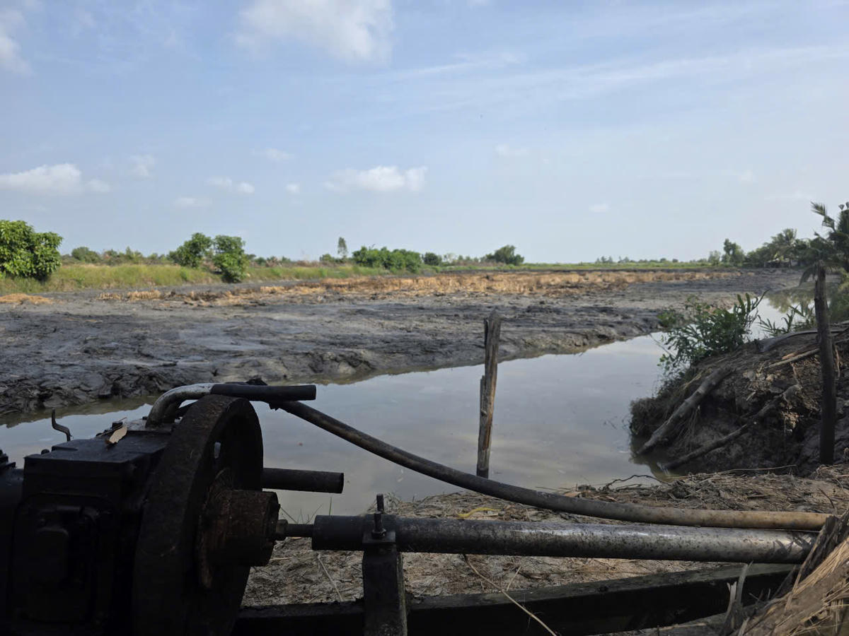Nông dân vùng chuyên canh lúa - tôm ở Cà Mau đã chủ động nạo vét kênh mương, trữ nước ngọt, điều chỉnh mật độ thả giống thấp hơn và bổ sung khoáng chất để tăng đề kháng cho tôm. Ảnh: Nguyên Du