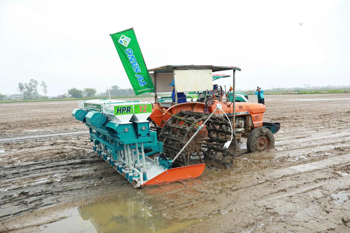 Việc triển khai mô hình tại Đồng bằng sông Hồng là bước quan trọng nhằm điều chỉnh giải pháp canh tác phát thải thấp cho phù hợp với điều kiện sinh thái phía Bắc. Ảnh: TN