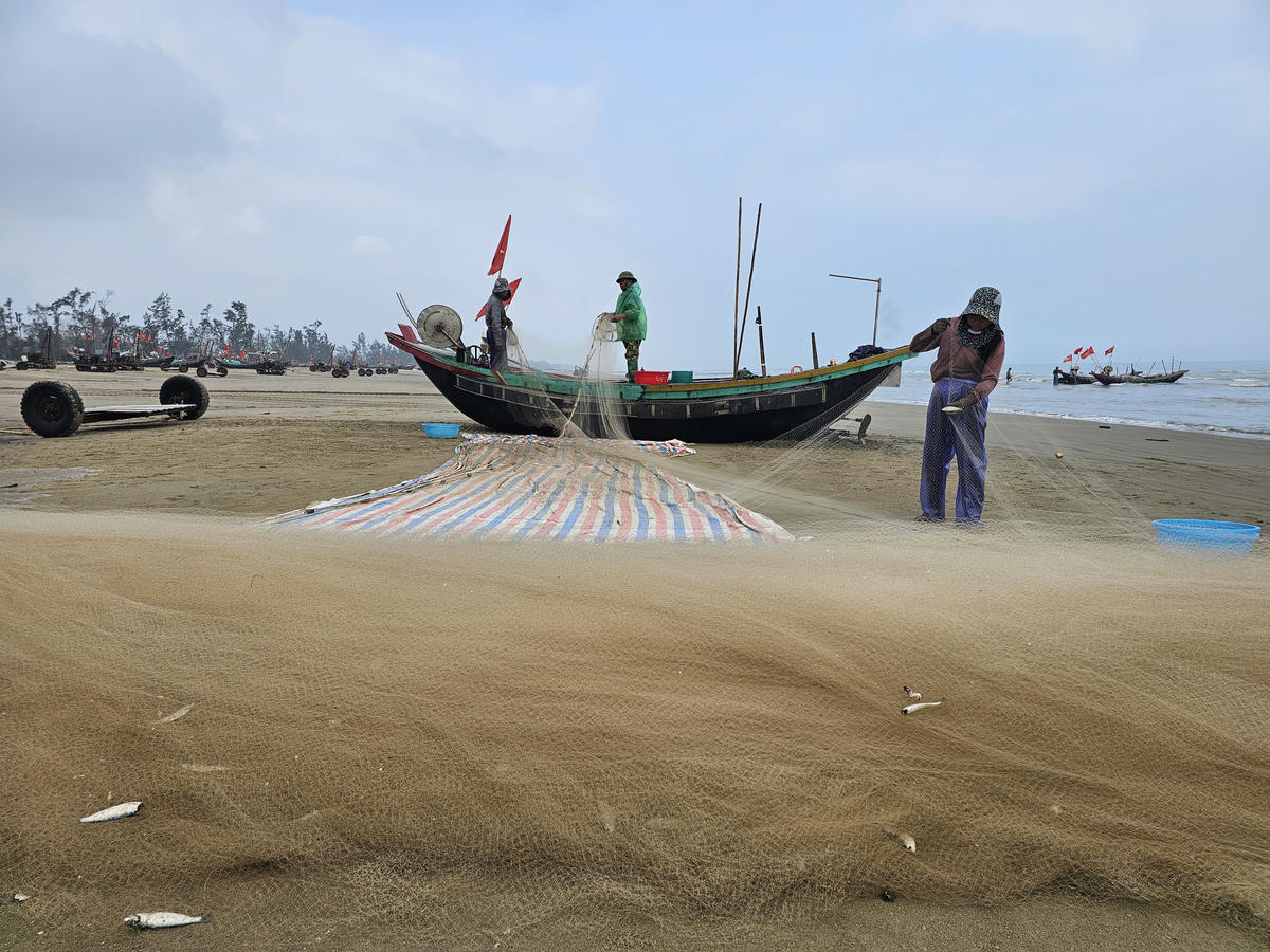 Sáng nay (26/2), trong dịp ra khơi đầu năm mới, các thuyền đánh bắt cá trích của ngư dân xã Tiên Điền, tỉnh Hà Tĩnh trúng đậm luồng cá trích lớn. Ảnh: Quốc Thanh