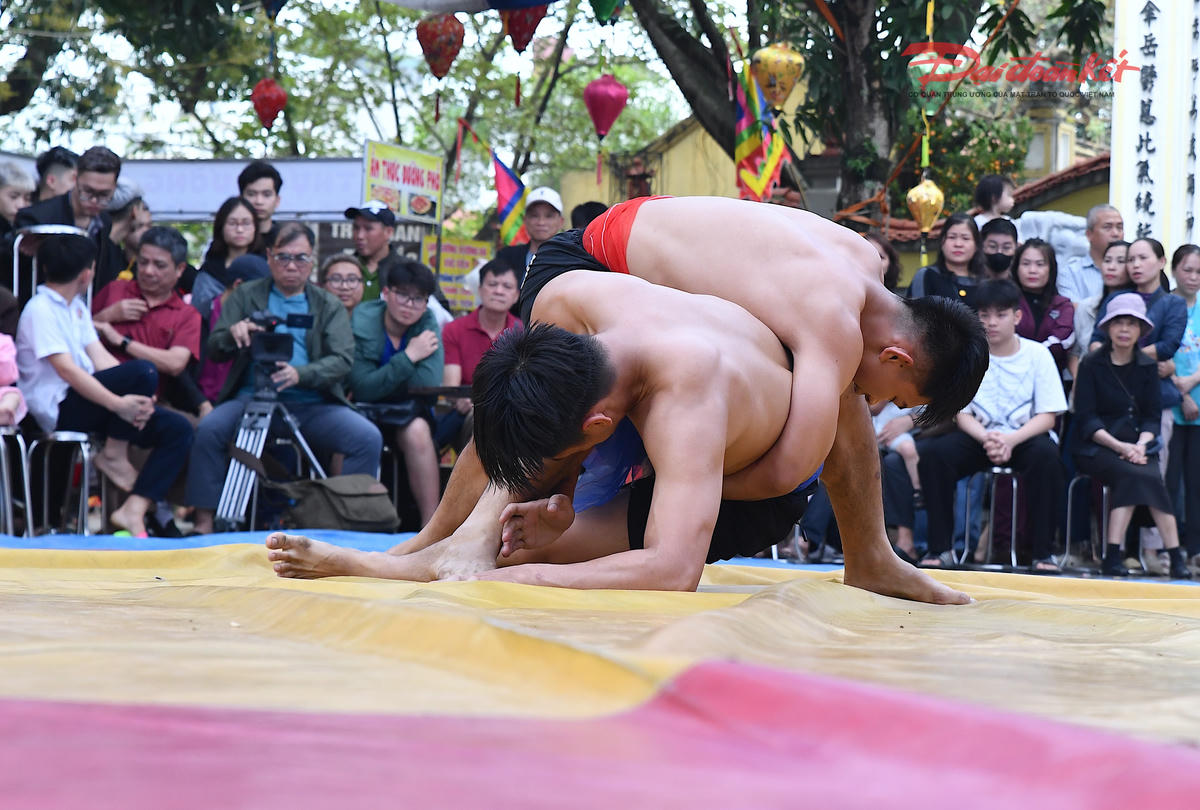 Mỗi thế đánh hiểm, mỗi pha phá thế linh hoạt đều thể hiện bản lĩnh, kinh nghiệm và sự khổ luyện bền bỉ của các đô vật. Ảnh: Phạm Sỹ.. 