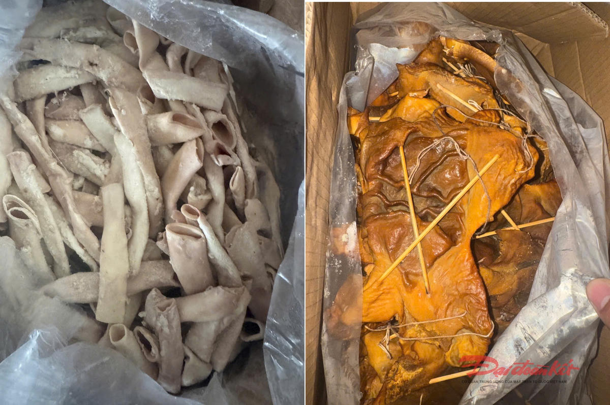 Lòng lợn, dạ dày lợn được doanh nghiệp thu mua không rõ nguồn gốc xuất xứ. Ảnh: QLTT.&nbsp;