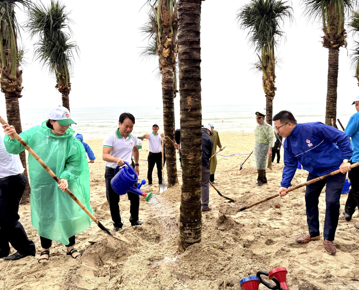 Từ phải qua: bà Lê Thị Minh Tâm, Phó Chủ tịch Ủy ban MTTQ Việt Nam thành phố, Chủ tịch Hội Nông dân thành phố; ông Trần Văn Minh, Chủ tịch Hội Nông dân phường; Bí thư Đoàn phường Lê Xuân Thành trồng cây. Ảnh: Nguyễn Tú.