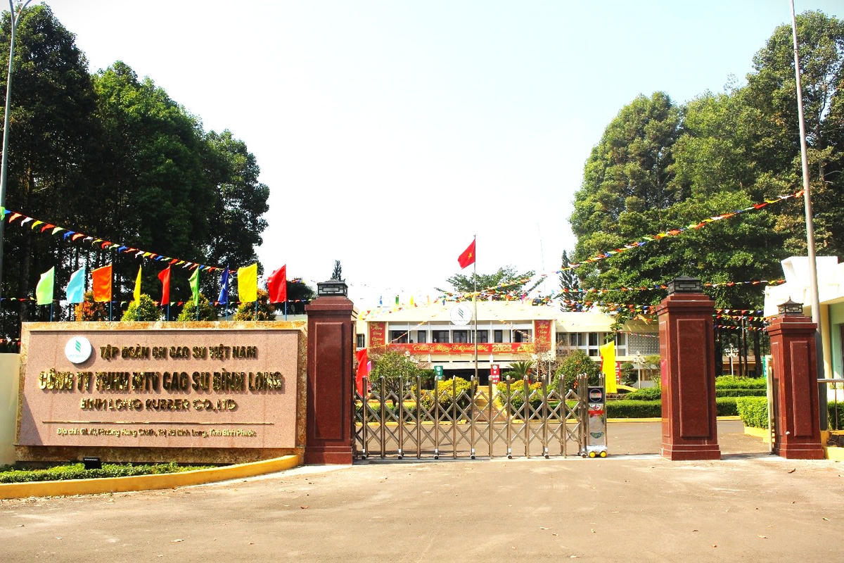 Việc thực hiện góp vốn, cổ phần đầu tư tại Công ty TNHH MTV Cao su Bình Long chưa thực hiện theo quy định của Luật Doanh nghiệp. Ảnh: B.L.