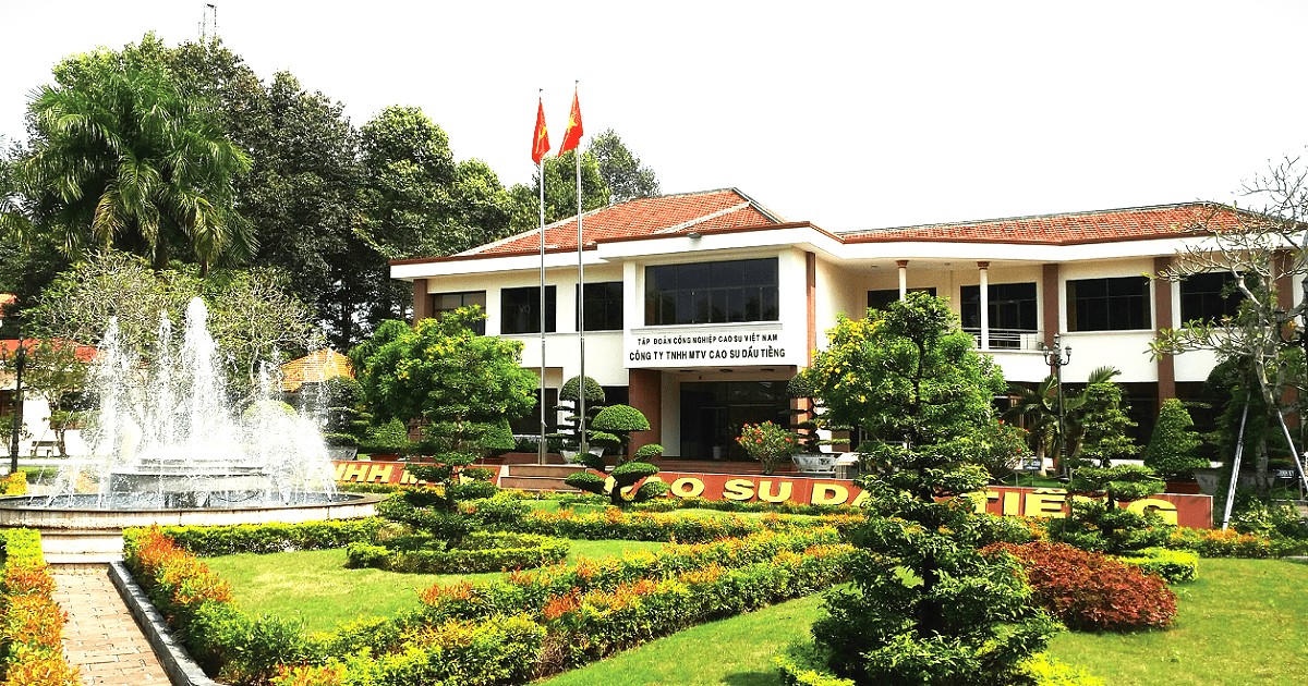 Công ty TNHH MTV Cao su Dầu Tiếng không xây dựng kế hoạch giám sát tài chính đối với các công ty con có vốn đầu tư của Tập đoàn. Ảnh: D.T. 