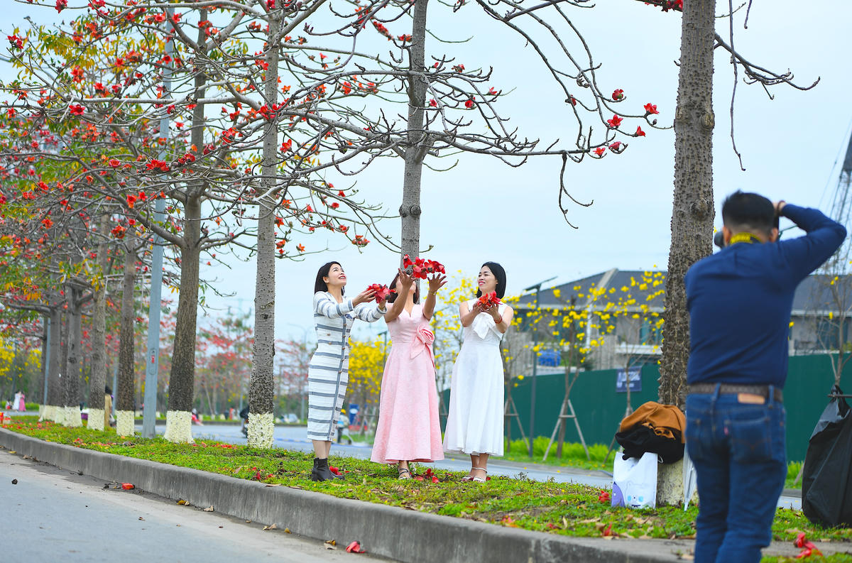 Sắc đỏ của hoa gạo cũng đặc biệt thu hút người dân.
