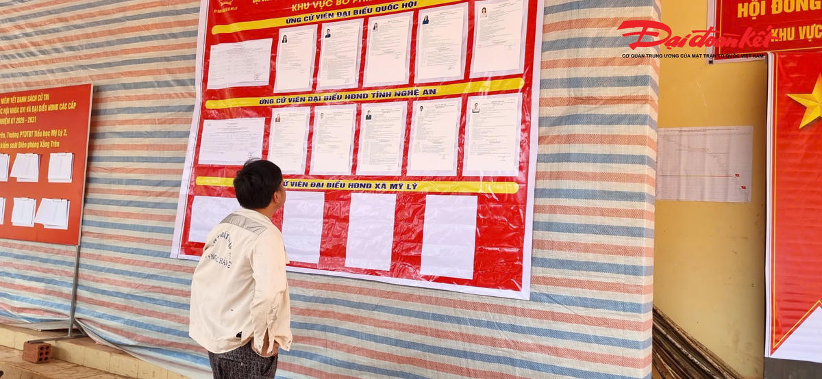 Cử tri xem danh sách các ứng cử viên đại biểu Quốc hội và đại biểu HĐND các cấp. Ảnh: ĐB