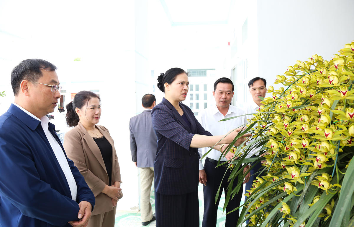 Sau buổi tiếp xúc cử tri, lãnh đạo xã Mường Khoa giới thiệu với Phó Chủ tịch Hà Thị Nga về sản phẩm chậu hoa địa lan thuộc mô hình trồng hoa địa lan đang phát triển và mang lại nguồn thu lớn cho người dân địa phương.