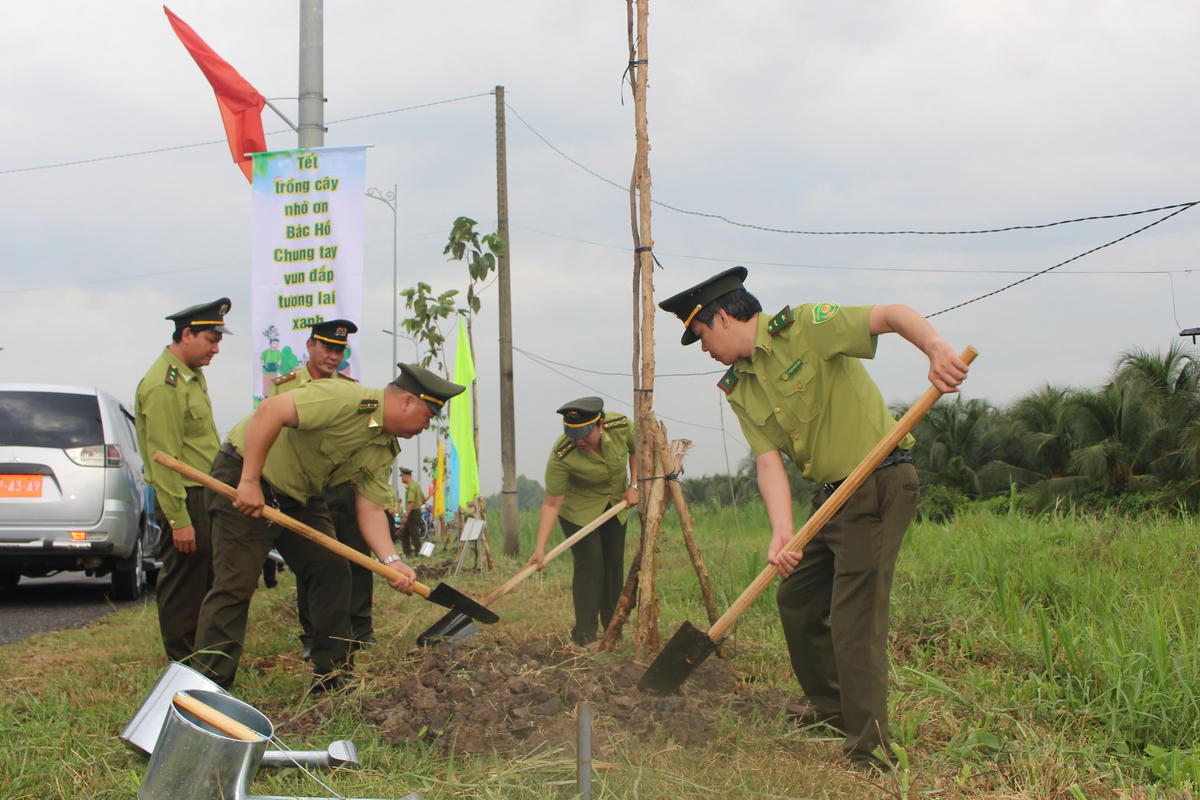 Tây Ninh dự kiến trồng 300.000 cây xanh năm 2026 này. Ảnh: T.Trung.