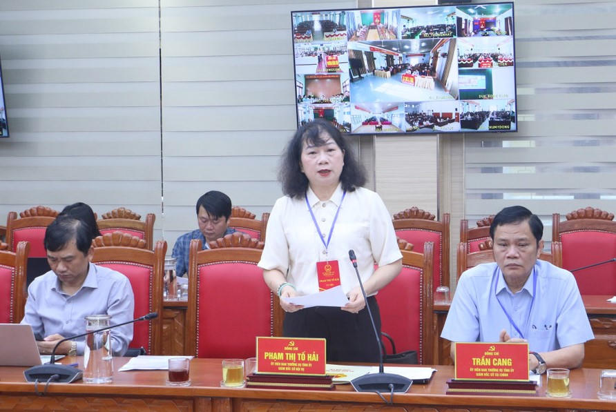 Giám đốc Sở Nội vụ tỉnh Gia Lai Phạm Thị Tố Hải báo cáo công tác chuẩn bị bầu cử. Ảnh: CV.