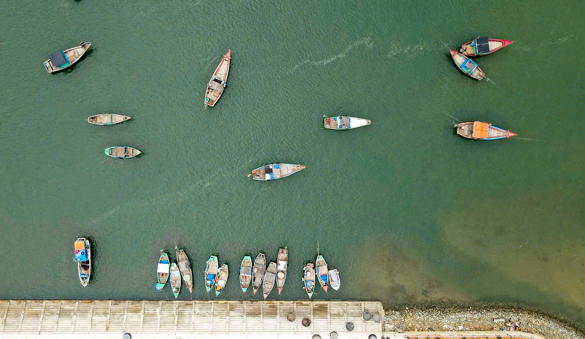 Những con tàu nối nhau cập bến, ngư dân sẵn sàng tham gia ngày hội bầu cử.