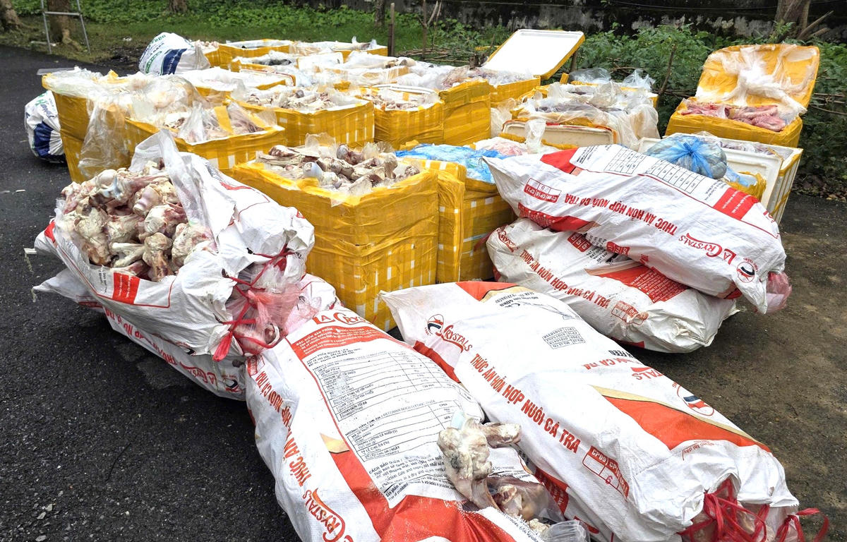 Hơn 2,6 tấn nội tạng, xương động vật được chở trên xe tải biển 89. Ảnh: TT.