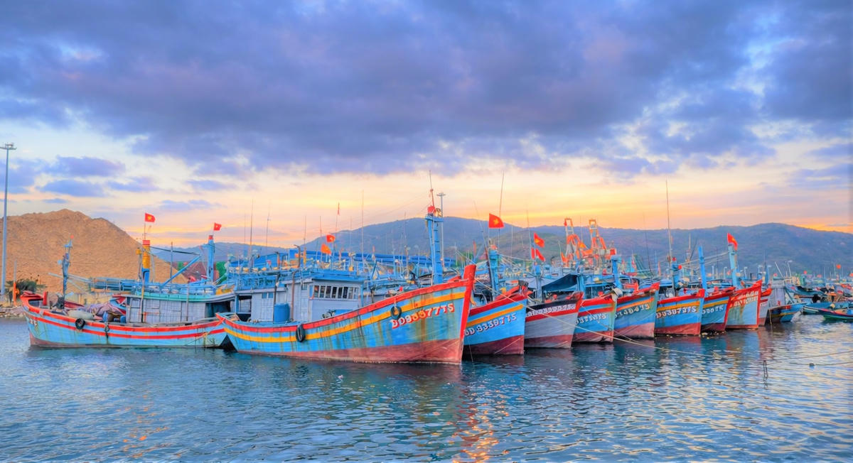 Một góc tàu thuyền đang neo đậu tại cảng cá Quy Nhơn, phường Quy Nhơn. Ảnh: Tấn Thành.