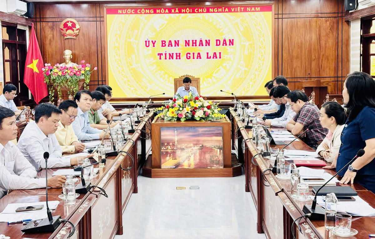 Quang cảnh cuộc họp. Ảnh: VC.