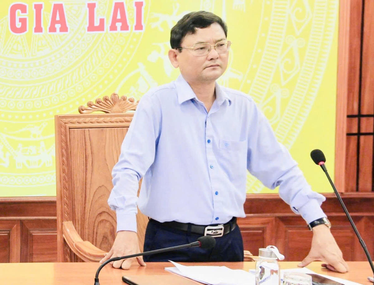 Phó Chủ tịch UBND tỉnh Gia Lai Nguyễn Tự Công Hoàng phát biểu kết luận. Ảnh: VC.