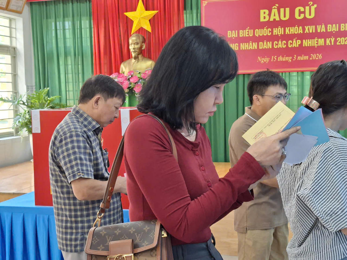 Cử tri xem kỹ thông tin phiếu bầu cử. Ảnh: S.X