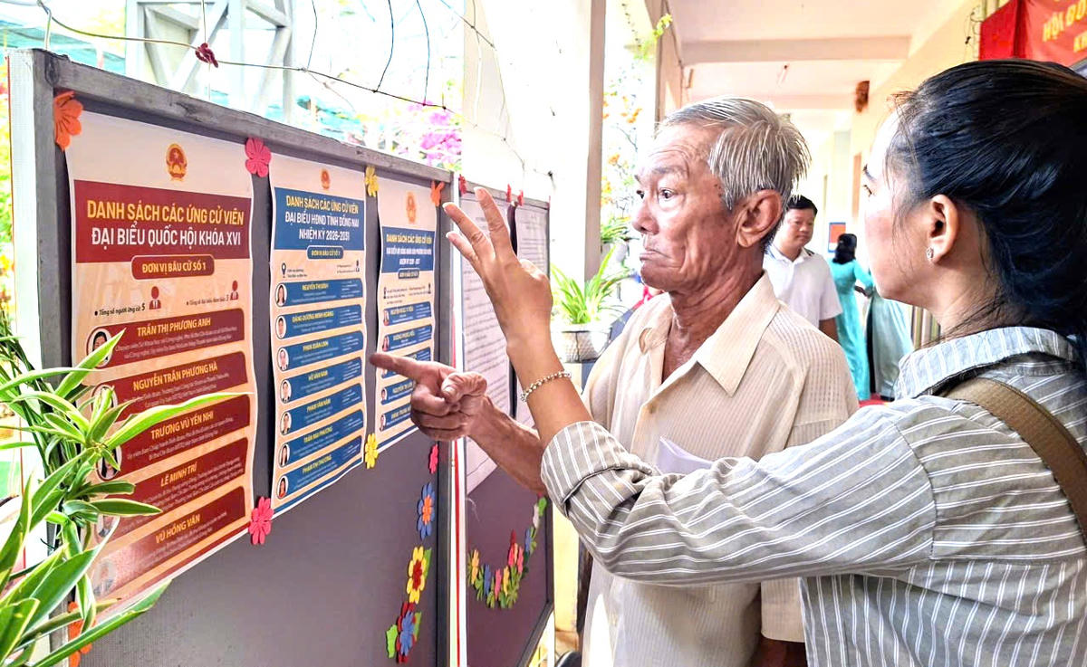 Cử tri tìm hiểu thông tin các ứng cử viên trước khi bỏ phiếu bầu. Ảnh: S.X