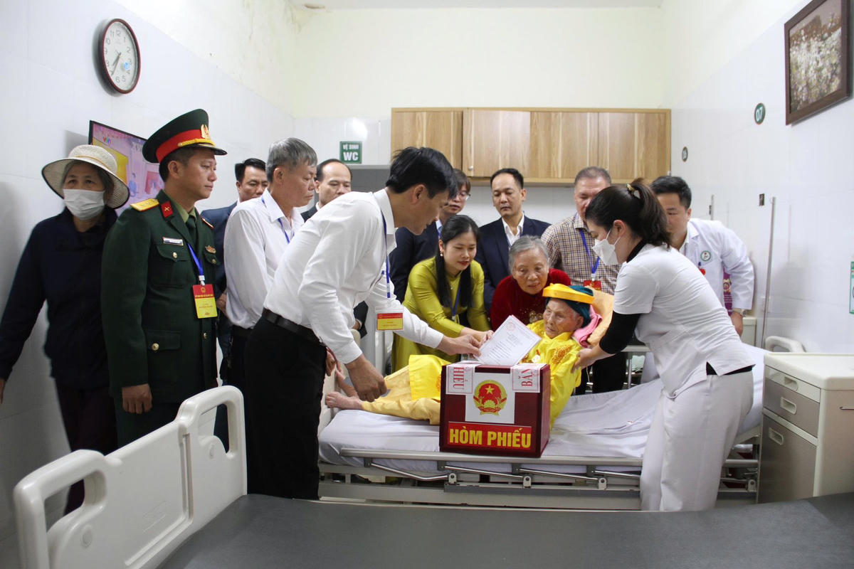 Mỹ Đức (Hà Nội), hân hoan trong ngày hội non sông