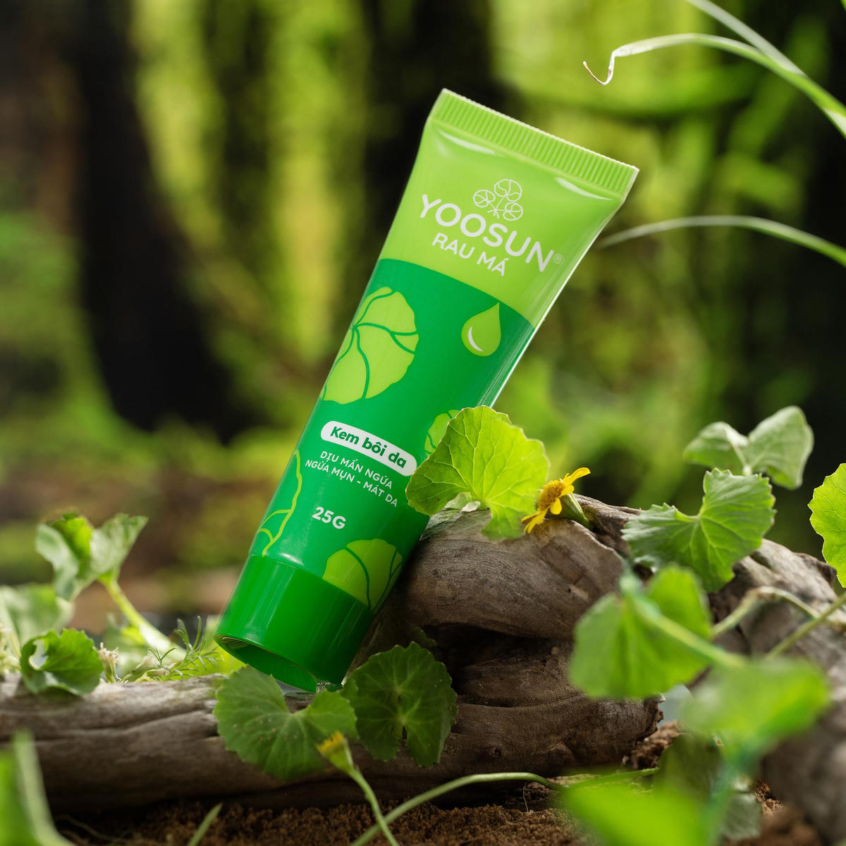 Yoosun Rau Má – Đồng hành cùng bé dẫu mọi thời tiết